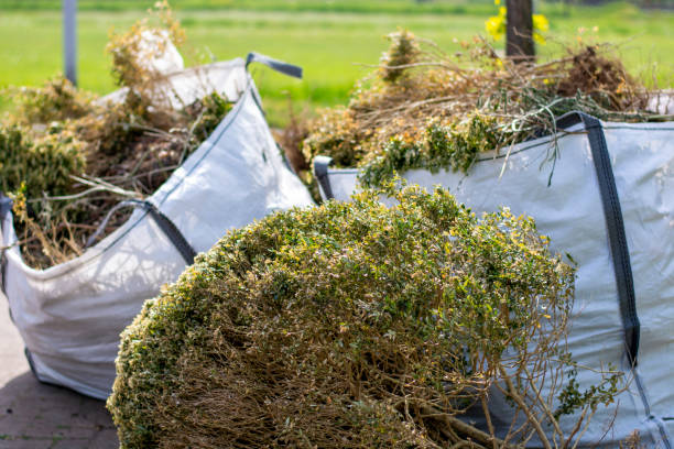 Best Yard Waste Removal  in Lincoln Heights, OH